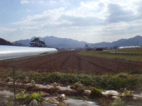 경매마당 경매정보 2025타경50094의 시세, 권리분석, 상세정보
