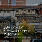 플랜비 스완피디 ep.33 소쿠리 소식지 9호