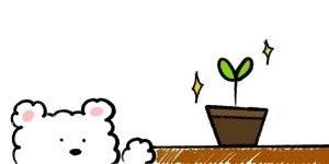 난 Killer다... 식물킬러🔪🌷🌿