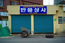 사진이 담을 수 있는 것 사진이 담을 수 있는 것 