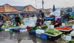 9월 7일 아침뉴스: 어째서 최초로 휘발유보다 석유가 비싼가. 달랏의 많은 야채와 구근식물 가격 고가 고정