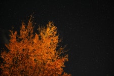 🍂우리의 세 번째 계절, 가을의 시작