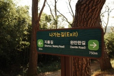 💌 Cornertable : 나는 더 강한 사람이 될지도 모르는데 💌 Cornertable :  나는 더 강한 사람이 될지도 모르는데
