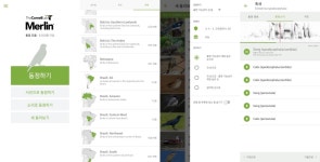 Oiling#77 | 펑크는 그런 음악이니까