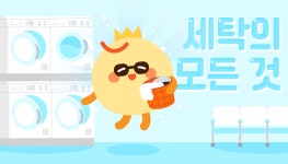 혼삶레터