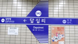 🛤️ 십리도 못 가서 발병나는 왕십리의 비밀