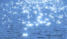 바다멍이 준 선물_공간 인문학 산책_김근영