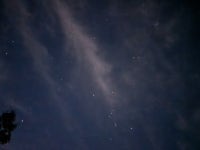 💌 눈물나게 행복한 하루하루