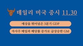 11월 30일 데일리 미국증시