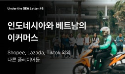 [베트남] VinFast는 어떻게 현대 기아 뺨을 때렸나?