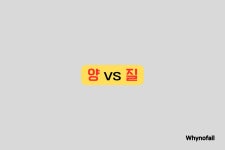 콘텐츠의 질, 양 놓치는 크리에이터의 흔한 실수