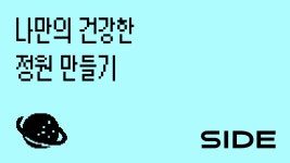 🌌 SIDE 207호: 내 안의 잠재력을 꺼내는 방법