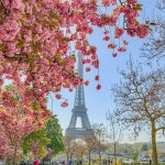 [번외] Schockverliebt – 에펠탑에 반해버렸어요