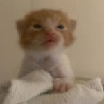 재즈도슨트의 뉴스레터