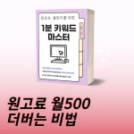 인플루언서보다 더빠른 수익화