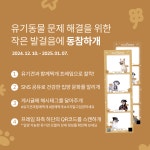 [귀여움 주의] 댕댕이들과의 특별한 한컷! (1월 7일까지 가능)