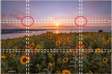 2강_사진 잘 찍는 방법 쉽게 알려주는 영뽀또