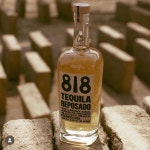 [브랜드 디깅] 켄달 제너의 818 데킬라는 어떻게 성공했을까?