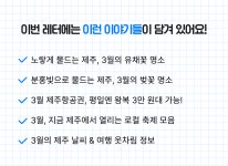 도민추천 유채꽃·벚꽃 명소+항공권 왕복 3만 원대! 3월 제주 봄꽃 여행 가이드