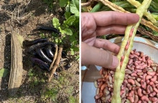 플라스틱 시대의 탄생 6