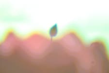28번_ 오늘, 나는 아름다운 연꽃 길을 걸었다.(16)