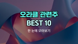 오라클 관련주, 테마주 | Best 10 종목