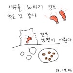 토린상점