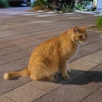 Ep. 26, 우리의 예민함