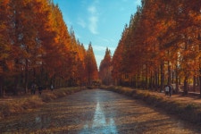 11강_사진 잘 찍는 방법 쉽게 알려주는 영뽀또