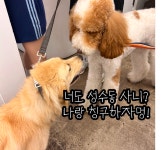 #03-2. [성동구] 놓칠 수 없는 성수 개스팟 8