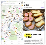 🧸 [다비-레터] 당신의 휴일은 어떤가요🌿