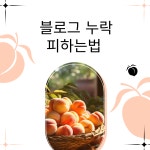 chat gpt 챗지피티 ai활용한 하루 10분 블로그 글쓰기