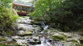 북적임은 잠시 꺼두세요, 조용한 여름을 찾는다면 힐링 계곡 TOP 5