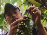 25' 4월 둘째 주 Brew : 커피 뉴스레터 한 모금