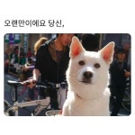 (광고) [Trend A Word #278] 혹시 태준이와 지혜의 이야기를 들어봤어? (아련)