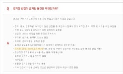 #54 FC서울 뉴비를 위한 직관 백서