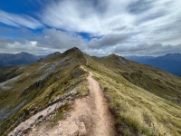 신안중 옆 등산로 | Journey of Kepler track