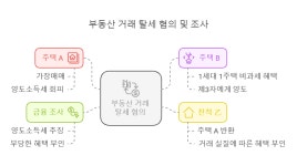 변칙적 부동산 거래 세무조사 집중 분석