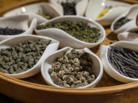 25 4월 둘째 주 Brew : 커피 뉴스레터 한 모금