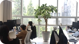 [오피스투어] 알파브라더스의 공간을 소개합니다✨