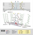 동탄역 얘기를 합니다. - DVDPrime 프라임차한잔 게시판