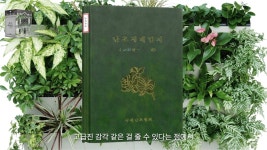 (주)디피미디어웍스 | 2024 DP 연말 결산 BEST 8 (with johjima님 / 티미디어 김종학님) - DVDPrime 뉴스‧특집 게시판