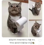 화장실올때마다 따라오는 냐옹이 - DPrime