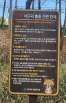 길고양이도 너구리 처럼... - DVDPrime 프라임차한잔 게시판