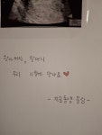 미래에서 온 편지 - DVDPrime