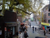 직접 찍은 2004 사진들 - 시내풍경. 사건. 대중문화. etc - DVDPrime