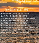 살아보니 이 말이 다 맞네요 - DVDPrime