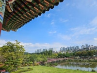 부산 시민공원 참 좋네요. - DVDPrime 프라임차한잔 게시판