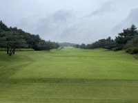 연휴에 다녀온 맛집 4곳! 가남한식뷔페 우천식육식당 돈가네김치찌개 펜타커피랩 - DVDPrime