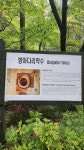 물맛이 좋은 약수터 물로 커피를 끓였더니 - DVDPrime 프라임차한잔 게시판
